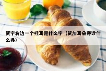 赞字右边一个挂耳是什么字（赞加耳朵旁读什么姓）