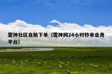 雷神社区自助下单（雷神网24小时秒单业务平台）