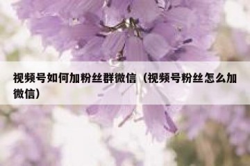 视频号如何加粉丝群微信（视频号粉丝怎么加微信）