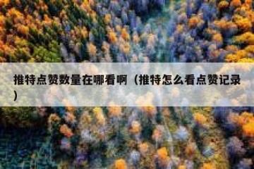 推特点赞数量在哪看啊（推特怎么看点赞记录）