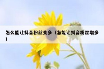 怎么能让抖音粉丝变多（怎能让抖音粉丝增多）