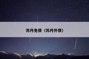苏丹免债（苏丹外债）