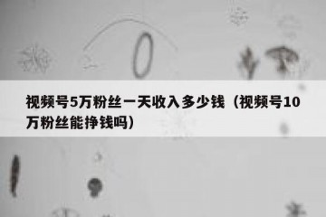 视频号5万粉丝一天收入多少钱（视频号10万粉丝能挣钱吗）