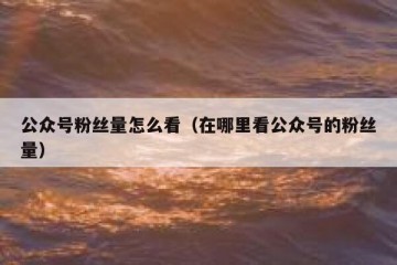公众号粉丝量怎么看（在哪里看公众号的粉丝量）