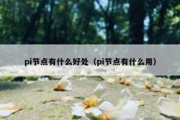 pi节点有什么好处（pi节点有什么用）