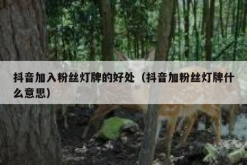 抖音加入粉丝灯牌的好处（抖音加粉丝灯牌什么意思）
