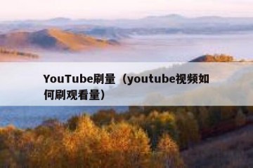 YouTube刷量（youtube视频如何刷观看量）