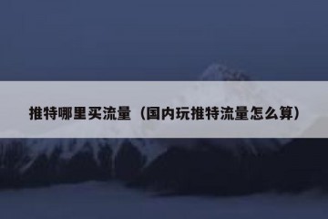 推特哪里买流量（国内玩推特流量怎么算）