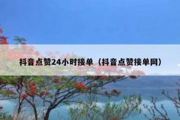 抖音点赞24小时接单（抖音点赞接单网）