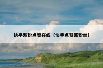 快手涨粉点赞在线（快手点赞涨粉丝）