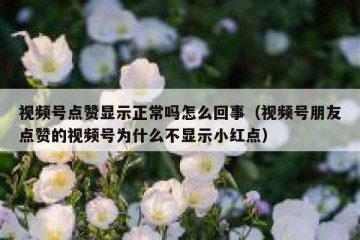 视频号点赞显示正常吗怎么回事（视频号朋友点赞的视频号为什么不显示小红点）