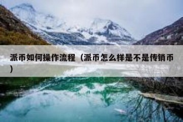 派币如何操作流程（派币怎么样是不是传销币）