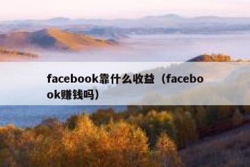 facebook靠什么收益（facebook赚钱吗）