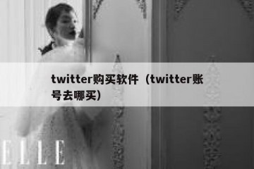 twitter购买软件（twitter账号去哪买）