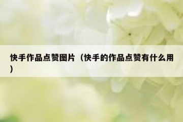 快手作品点赞图片（快手的作品点赞有什么用）