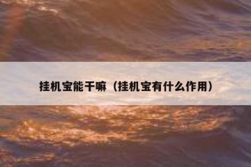 挂机宝能干嘛（挂机宝有什么作用）