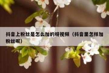 抖音上粉丝是怎么加的呀视频（抖音里怎样加粉丝呢）