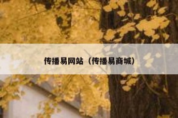 传播易网站（传播易商城）