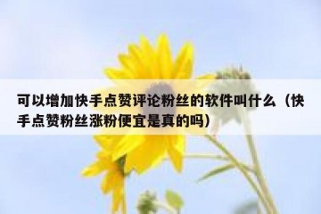 可以增加快手点赞评论粉丝的软件叫什么（快手点赞粉丝涨粉便宜是真的吗）