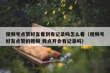 视频号点赞好友看到有记录吗怎么看（视频号好友点赞的视频 我点开会有记录吗）