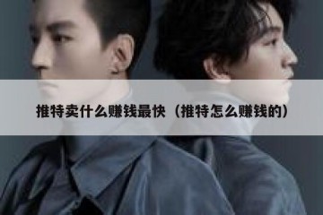 推特卖什么赚钱最快（推特怎么赚钱的）