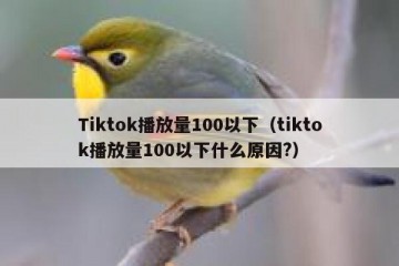 Tiktok播放量100以下（tiktok播放量100以下什么原因?）