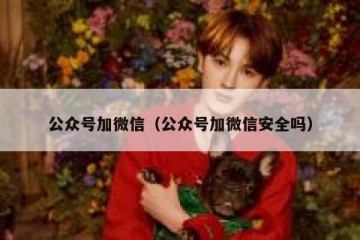 公众号加微信（公众号加微信安全吗）