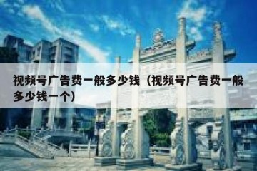 视频号广告费一般多少钱（视频号广告费一般多少钱一个）