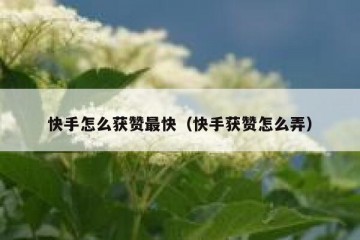 快手怎么获赞最快（快手获赞怎么弄）