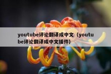 youtube评论翻译成中文（youtube评论翻译成中文插件）
