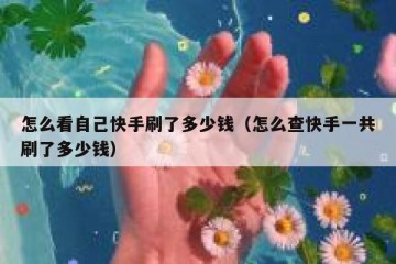 怎么看自己快手刷了多少钱（怎么查快手一共刷了多少钱）