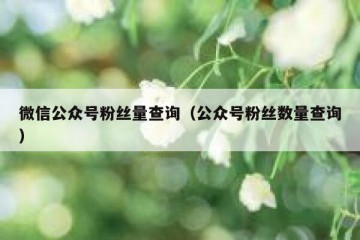 微信公众号粉丝量查询（公众号粉丝数量查询）