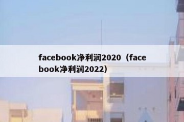 facebook净利润2020（facebook净利润2022）