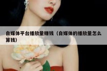 自媒体平台播放量赚钱（自媒体的播放量怎么算钱）