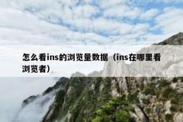 怎么看ins的浏览量数据（ins在哪里看浏览者）