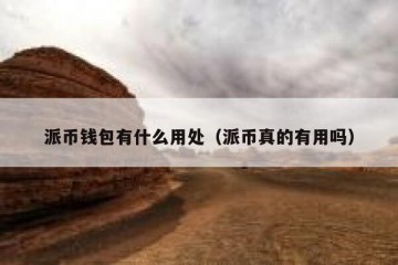 派币钱包有什么用处（派币真的有用吗）