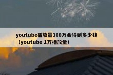 youtube播放量100万会得到多少钱（youtube 1万播放量）