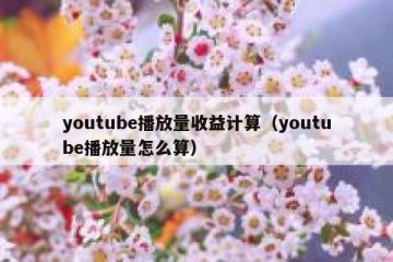 youtube播放量收益计算（youtube播放量怎么算）