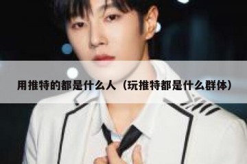 用推特的都是什么人（玩推特都是什么群体）