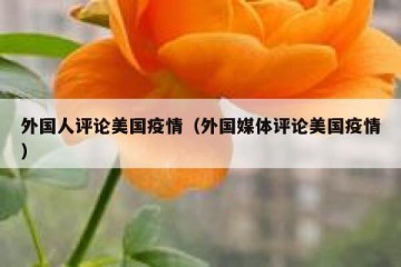 外国人评论美国疫情（外国媒体评论美国疫情）