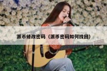 派币修改密码（派币密码如何找回）