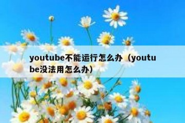youtube不能运行怎么办（youtube没法用怎么办）