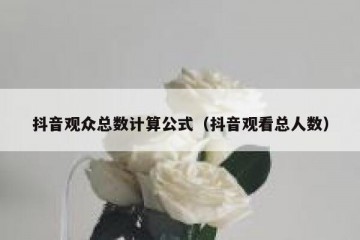 抖音观众总数计算公式（抖音观看总人数）