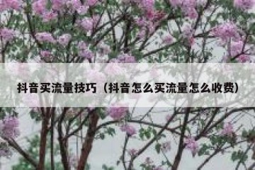 抖音买流量技巧（抖音怎么买流量怎么收费）