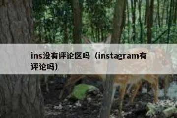 ins没有评论区吗（instagram有评论吗）