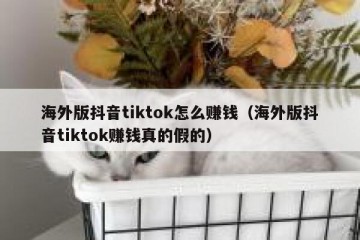 海外版抖音tiktok怎么赚钱（海外版抖音tiktok赚钱真的假的）