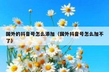 国外的抖音号怎么添加（国外抖音号怎么加不了）