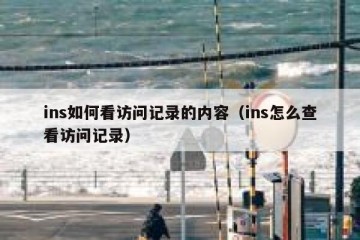 ins如何看访问记录的内容（ins怎么查看访问记录）