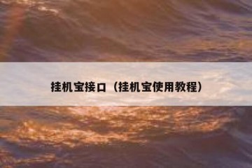 挂机宝接口（挂机宝使用教程）