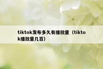 tiktok发布多久有播放量（tiktok播放量几百）